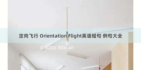 定向飞行 Orientation Flight英语短句 例句大全