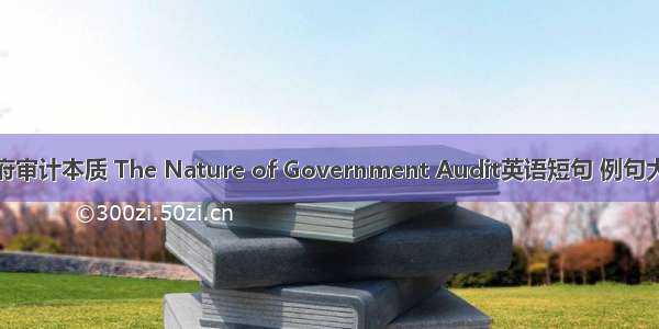 政府审计本质 The Nature of Government Audit英语短句 例句大全