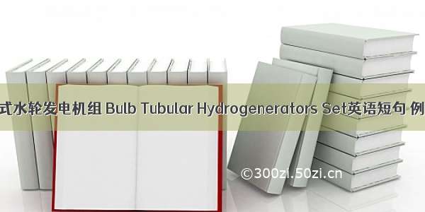 灯泡贯流式水轮发电机组 Bulb Tubular Hydrogenerators Set英语短句 例句大全