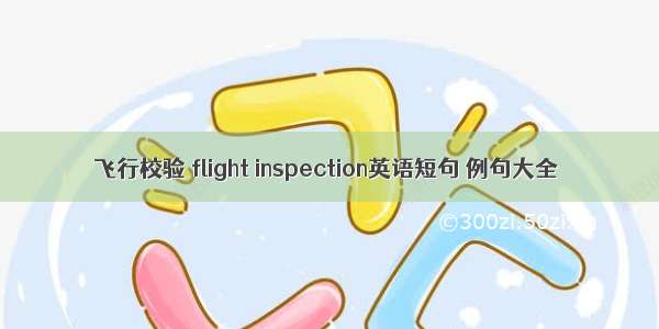 飞行校验 flight inspection英语短句 例句大全