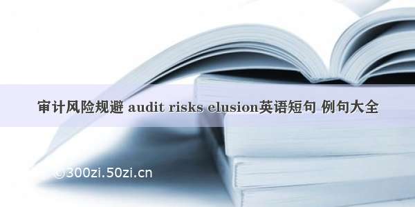 审计风险规避 audit risks elusion英语短句 例句大全
