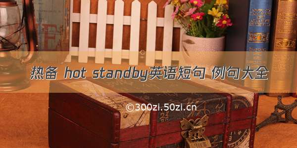 热备 hot standby英语短句 例句大全