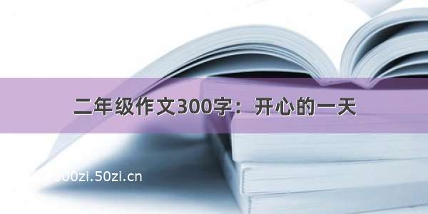 二年级作文300字：开心的一天