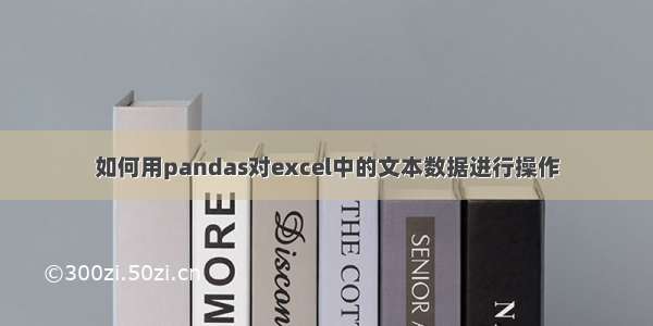 如何用pandas对excel中的文本数据进行操作