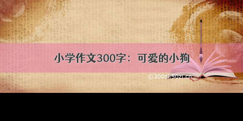 小学作文300字：可爱的小狗