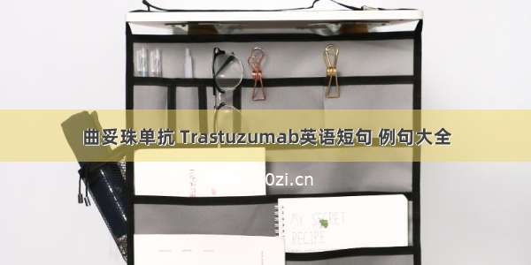 曲妥珠单抗 Trastuzumab英语短句 例句大全