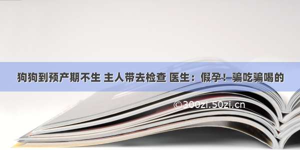 狗狗到预产期不生 主人带去检查 医生：假孕！骗吃骗喝的