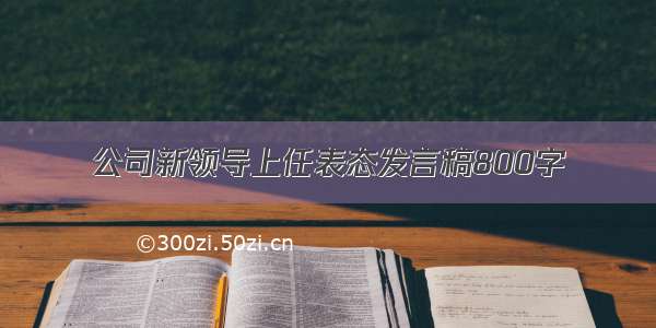 公司新领导上任表态发言稿800字