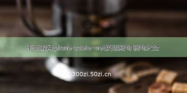 平面索网 plane cable-net英语短句 例句大全