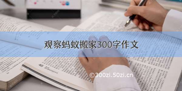 观察蚂蚁搬家300字作文