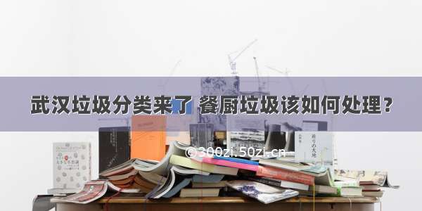 武汉垃圾分类来了 餐厨垃圾该如何处理？