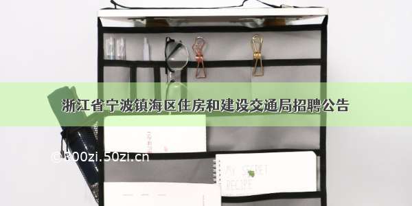 浙江省宁波镇海区住房和建设交通局招聘公告