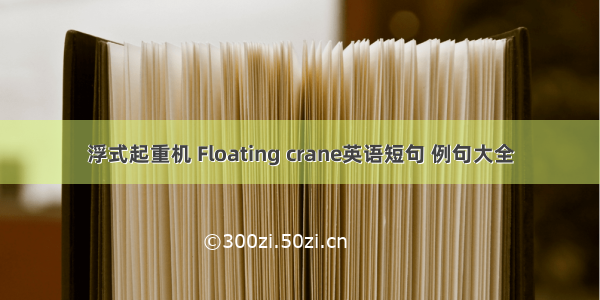 浮式起重机 Floating crane英语短句 例句大全