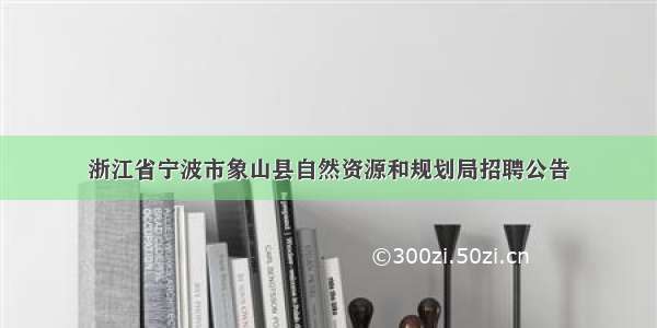 浙江省宁波市象山县自然资源和规划局招聘公告