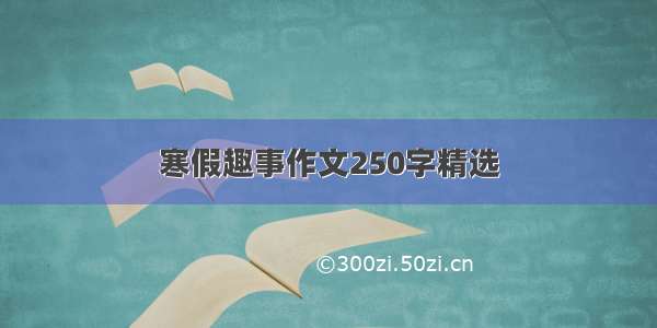 寒假趣事作文250字精选