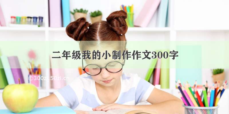 二年级我的小制作作文300字