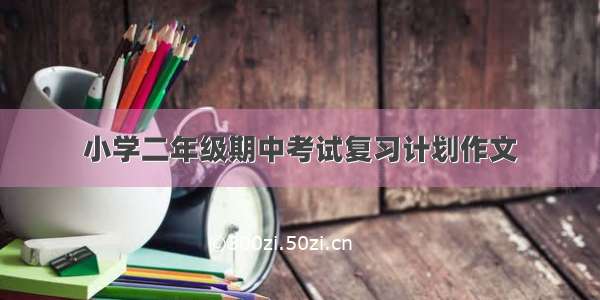 小学二年级期中考试复习计划作文