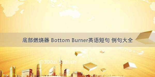 底部燃烧器 Bottom Burner英语短句 例句大全