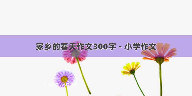 家乡的春天作文300字 - 小学作文