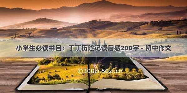 小学生必读书目：丁丁历险记读后感200字 - 初中作文