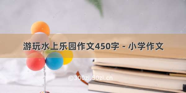 游玩水上乐园作文450字 - 小学作文