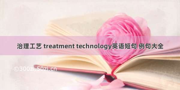 治理工艺 treatment technology英语短句 例句大全