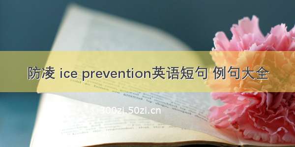 防凌 ice prevention英语短句 例句大全