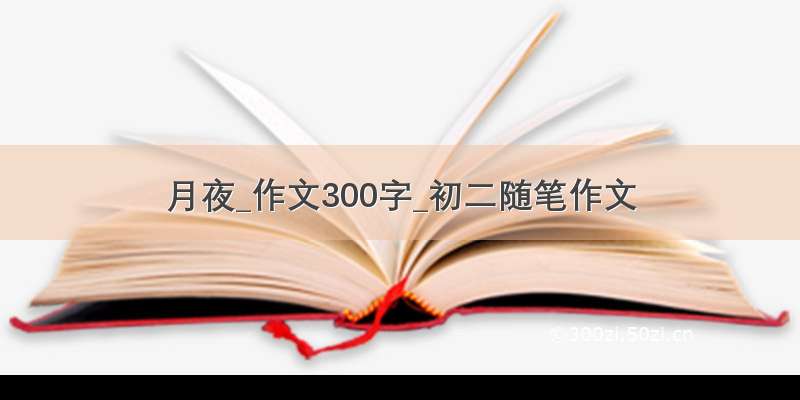 月夜_作文300字_初二随笔作文