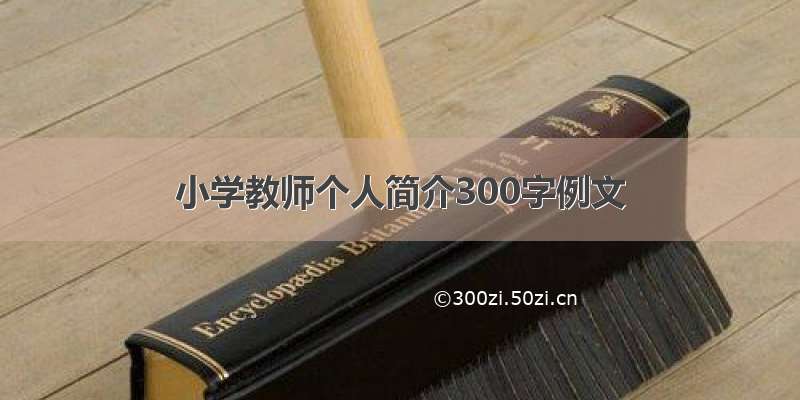 小学教师个人简介300字例文