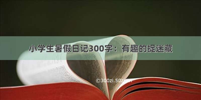 小学生暑假日记300字：有趣的捉迷藏