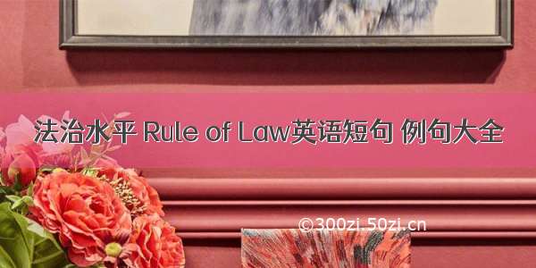 法治水平 Rule of Law英语短句 例句大全