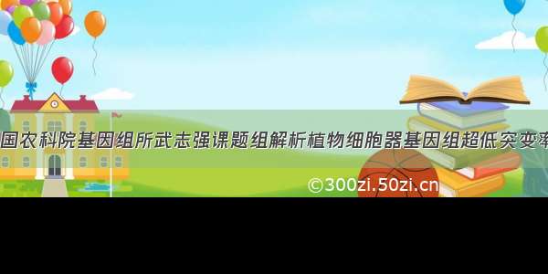 PNAS | 中国农科院基因组所武志强课题组解析植物细胞器基因组超低突变率相关机制