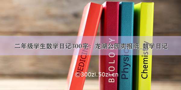 二年级学生数学日记300字：龙湖公园卖报纸_数学日记