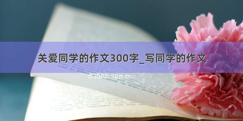 关爱同学的作文300字_写同学的作文