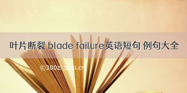 叶片断裂 blade failure英语短句 例句大全