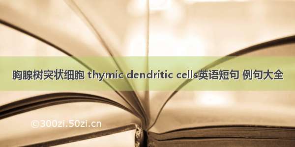 胸腺树突状细胞 thymic dendritic cells英语短句 例句大全