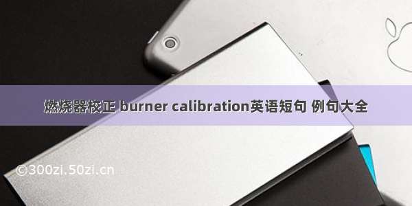 燃烧器校正 burner calibration英语短句 例句大全