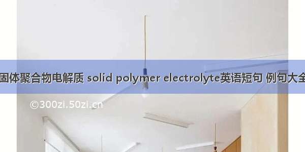 固体聚合物电解质 solid polymer electrolyte英语短句 例句大全