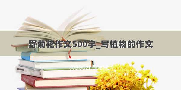 野菊花作文500字_写植物的作文