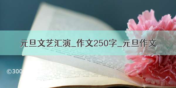 元旦文艺汇演_作文250字_元旦作文