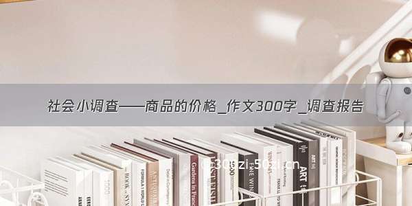 社会小调查——商品的价格_作文300字_调查报告