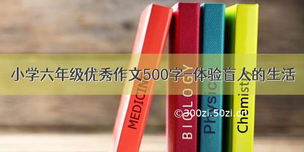 小学六年级优秀作文500字-体验盲人的生活