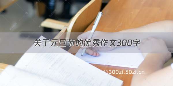 关于元旦节的优秀作文300字