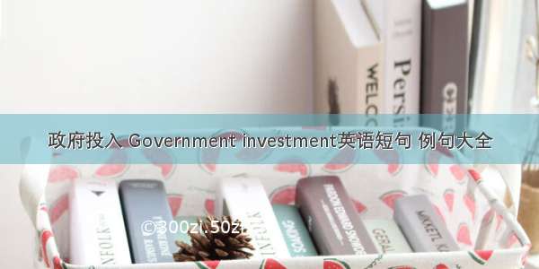 政府投入 Government investment英语短句 例句大全