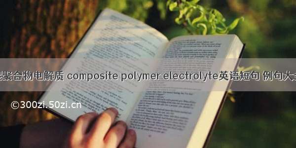 共混聚合物电解质 composite polymer electrolyte英语短句 例句大全