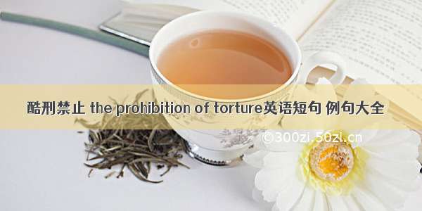 酷刑禁止 the prohibition of torture英语短句 例句大全
