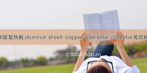 铝片-铜管太阳能集热板 aluminum sheet-copper tube solar collector英语短句 例句大全