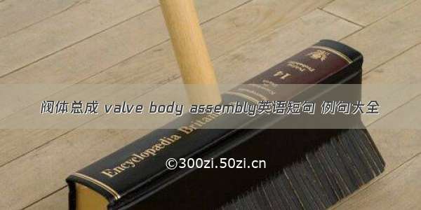 阀体总成 valve body assembly英语短句 例句大全