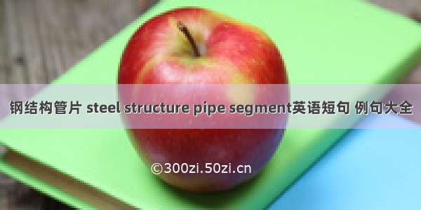 钢结构管片 steel structure pipe segment英语短句 例句大全