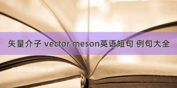 矢量介子 vector meson英语短句 例句大全